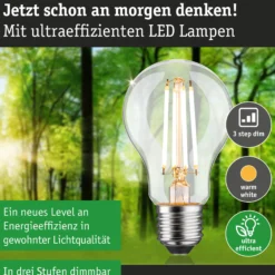 Efficient-Line Filament 230V - LED Birne Einzelleuchte