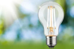 Efficient-Line Filament 230V - LED Birne Einzelleuchte