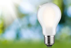 Efficient-Line Filament 230V - LED Birne Einzelleuchte