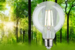 Efficient-Line Filament 230V - LED Globe G95 E27