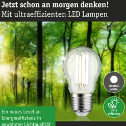 Efficient-Line Filament 230V - LED Tropfen 1er-Set 80mm