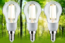 Efficient-Line Filament 230V - LED Tropfen 3er-Set 100mm