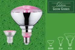 Grow Green Edition Filament 230V - LED Reflektor GU10