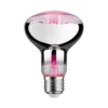 Grow Green Edition Filament 230V - LED Reflektor R80