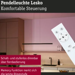 LED Pendelleuchte - Lesko