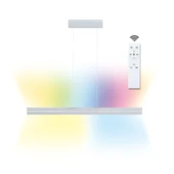 LED Pendelleuchte - Raiko