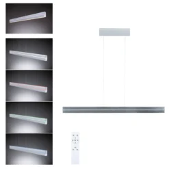 LED Pendelleuchte - Raiko