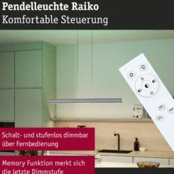 LED Pendelleuchte - Raiko