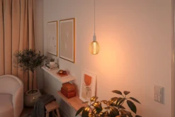 Metallic Glow Standard 230V - LED Globe Spiral