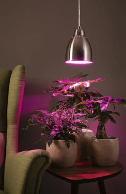 Neordic Set - Pendelleuchte Hilla + LED Reflektor E27