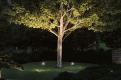 Plug & Shine LED Gartenstrahler - Fluter Einzelspot
