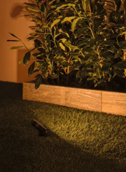 Plug & Shine LED Gartenstrahler - Sting Basisset insektenfreundlich