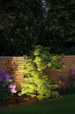 Plug & Shine LED Gartenstrahler - Sting Einzelspot