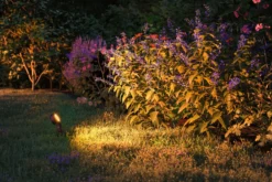Plug & Shine LED Gartenstrahler - Sting Einzelspot insektenfreundlich