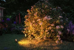 Plug & Shine LED Gartenstrahler - Sting Erweiterungsset