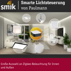 Preisattraktives Starterset Smart Home Zigbee 3.0 - LED Birne Filament G95 RGBW + Gateway + Schalter