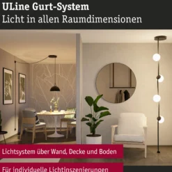 ULine Gurt - 5m
